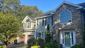 Modern two-story house with stone and vinyl siding, featuring arched windows, white front door, and landscaped yard with mature trees