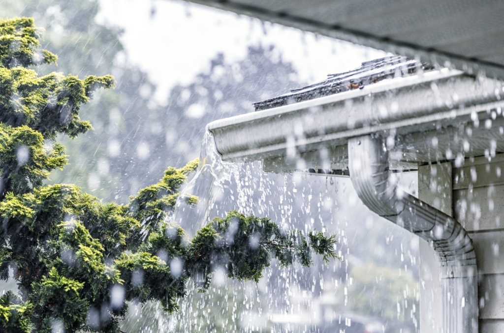 Heavy rain pouring from roof gutter with water cascading down, surrounded by green evergreen shrubs during intense rainfall