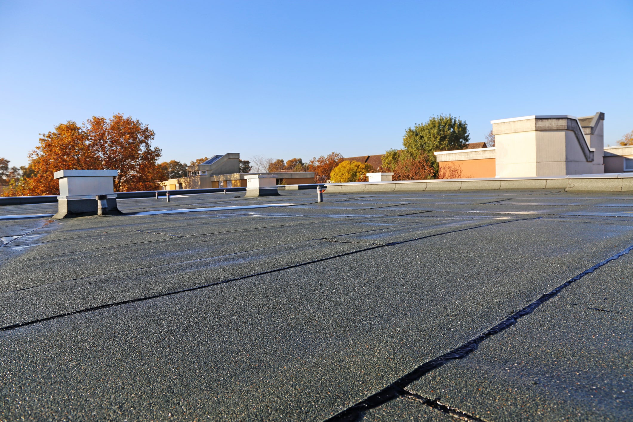 Flat commercial rooftop with asphalt surface, HVAC equipment, and autumn trees visible in background under clear blue sky