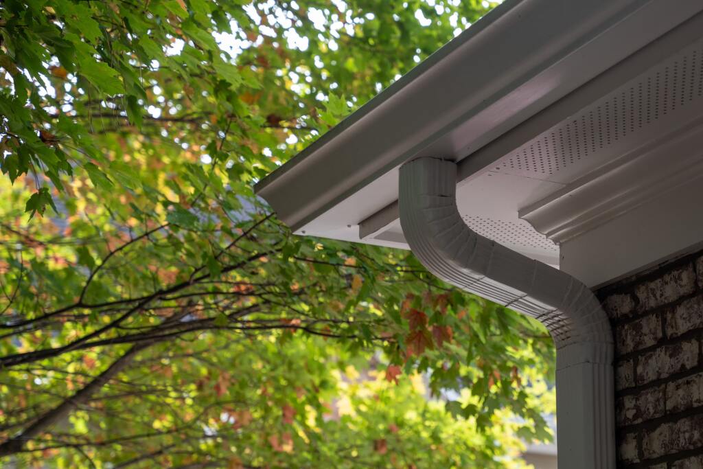 White aluminum rain gutter and downspout on house corner with lush green tree foliage overhead in natural lighting