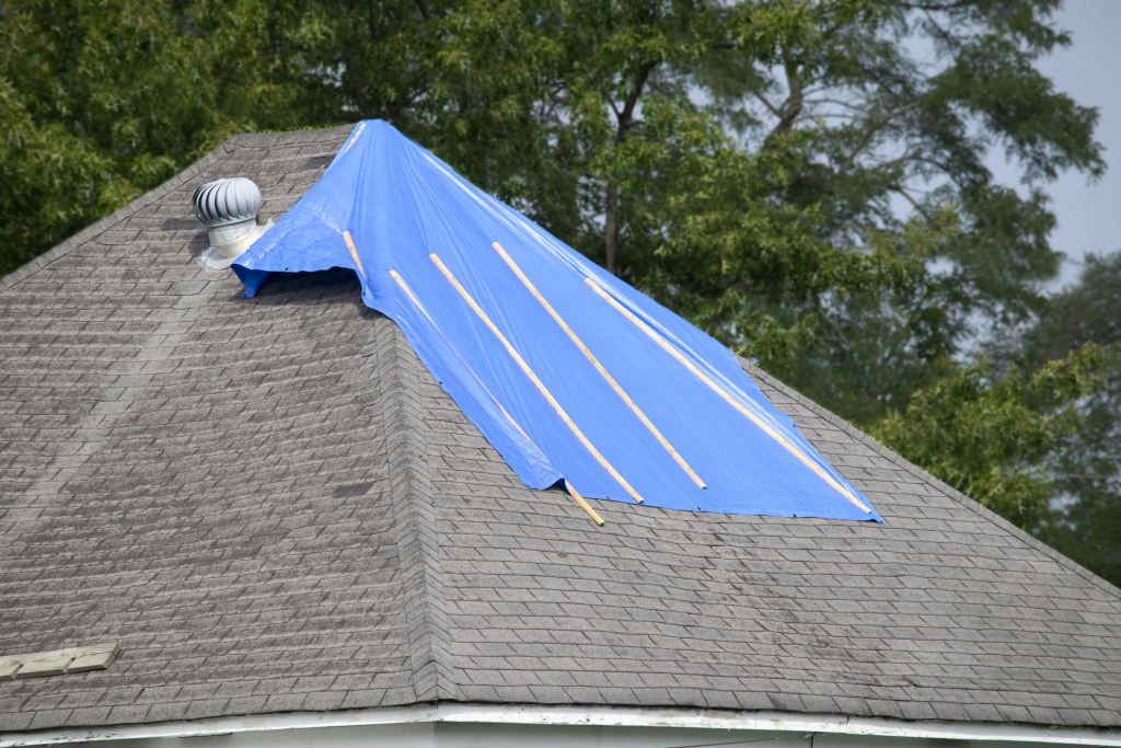 Blue tarp covering damaged section of asphalt shingle roof with wooden boards underneath, surrounded by green trees