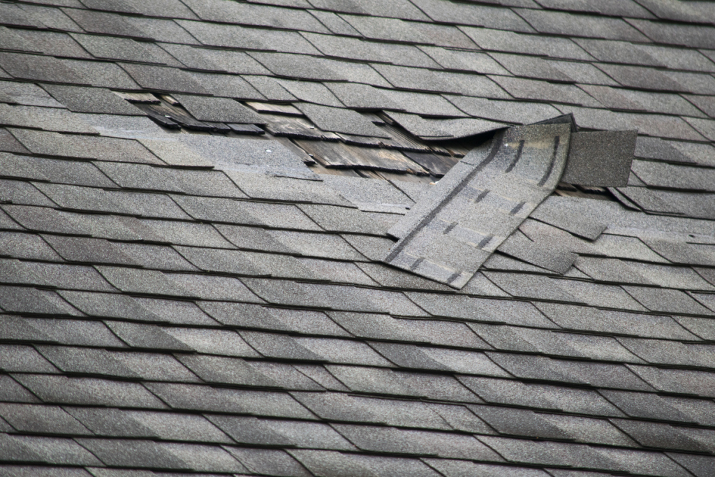 Damaged asphalt shingles on roof with curled and lifted edges showing wear and potential need for repair or replacement
